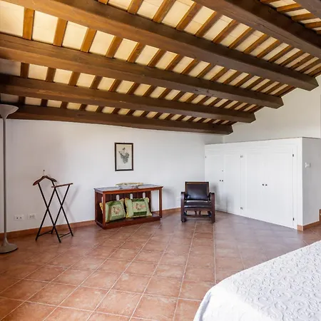 Sui Colli Ericini Con Piscina Villa